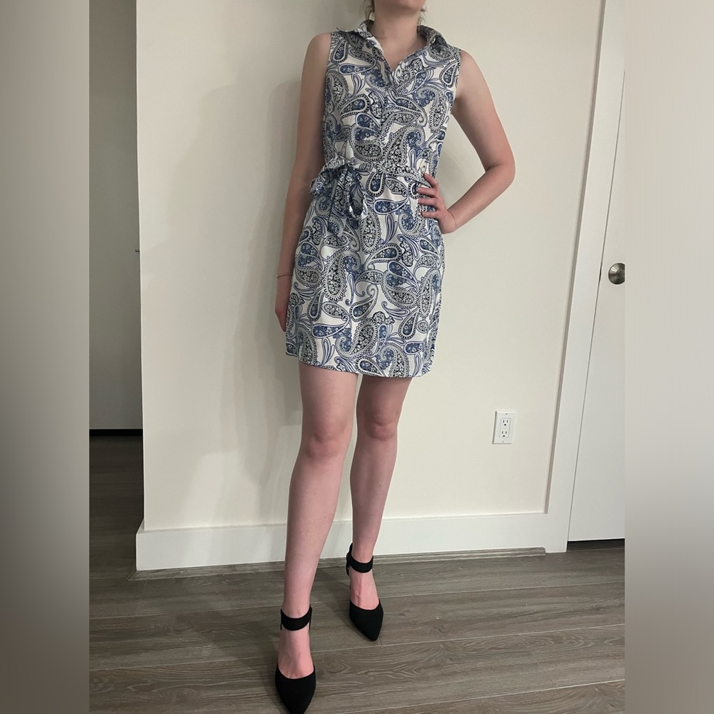 Banana Republic Blue and White Paisley Dress